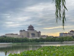 -莲花池公园