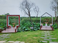 -同里国家湿地公园
