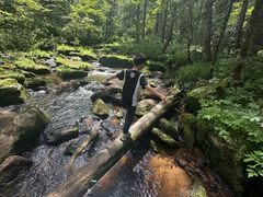 -汤旺河林海奇石景区