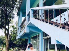 -南宁良凤江国家森林公园