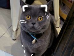 -小时光咖啡馆(开森度假森林店)
