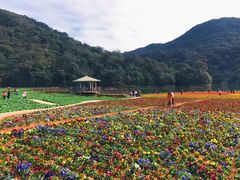 -广州市石门国家森林公园