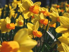 -国家植物园南园