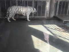 -无锡动物园·太湖欢乐园