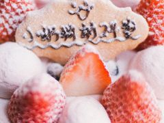 -EnergyCake蛋糕理想国