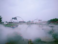 -荷兰花海