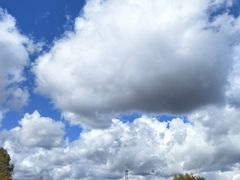 -莫尔道嘎国家森林公园