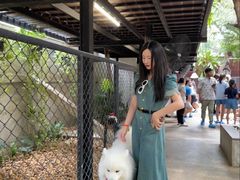 -TrueLove @ Neverland (Husky Cafe)