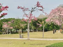 -风云岭森林公园