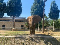 -石家庄市动物园