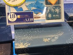 -关西国际机场直营免税店