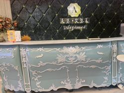 -天姿美容·美体科技SPA·艾姿美店