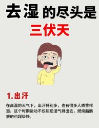 -Fundi张玉珊修身堂·indiba·BTL科技瘦身