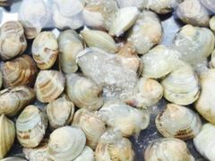 -渡海小渔村.老辈日照菜