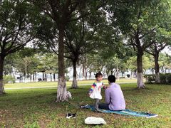 -鹤之洲湿地公园