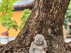 -龙华寺