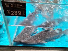 -艳阳天·非遗楚菜(武汉客厅店)