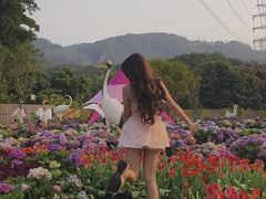 -水濂山乐民游艺园