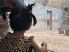 -银川动物园