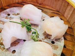 招牌虾饺皇-澳门陈光记烧味饭店(郎家园店)
