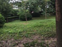 -南京理工大学紫金学院