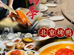 -金鸭季·臻品餐厅(欢乐海岸购物中心店)