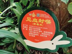 -呀诺达热带雨林