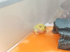 -应天大明王朝·南京菜(中山陵店)