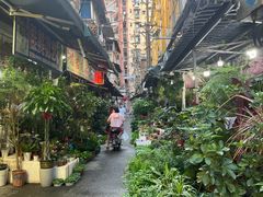 -循礼门鲜花花市(武汉循礼门店)