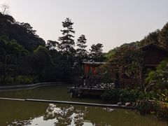 -云溪植物园