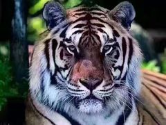 -北戴河圣蓝海洋公园