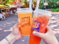 -广州长隆欢乐世界