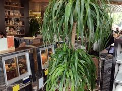 -杭州君悦酒店·青莳