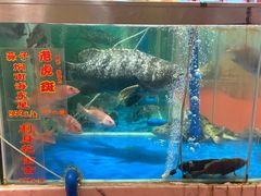 -惠食佳(滨江大公馆店)
