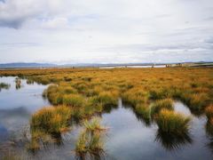 -花湖生态旅游区