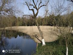 -柳浪闻莺公园