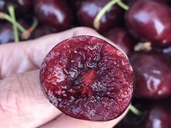 -鲜力达果品批发直销(青山店)