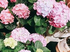 -AEON永旺(东方宝泰店)