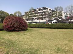 -临安城遗址(太庙遗址)