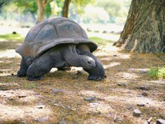 -卡塞拉自然公园