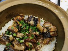 金牌黄鳝饭-红星光发煲仔饭(文海店)