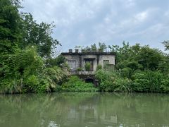 -西溪国家湿地公园