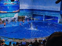 -多彩贵州城极地海洋世界