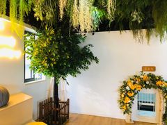 -Husky Go! 哈士奇体验馆·宠物咖啡厅狗咖