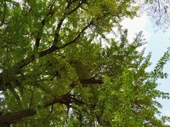 -昆嵛山石门里景区