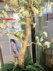 -芳朵美容养生SPA