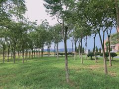 -砂之船奥特莱斯(合肥店)