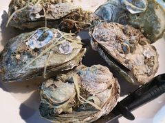 -崖口红树林海鲜餐厅