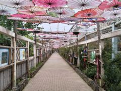 -呀路古热带植物园