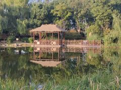 -澹台湖公园